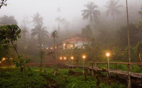 Mountain Manor